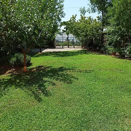 La Casa Di Ida Apartment